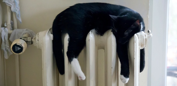 Жилищная инспекция разъяснила порядок действий при «перетопах»