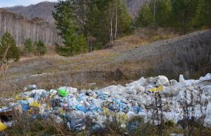 Ликвидирована прибрежная свалка на месте впадения Бийки в Катунь