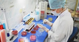 Расширенную клинико-диагностическую лабораторию создадут в Онгудае