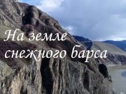Детский фильм «На земле снежного барса» сняли в Горном Алтае