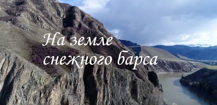 Детский фильм «На земле снежного барса» сняли в Горном Алтае