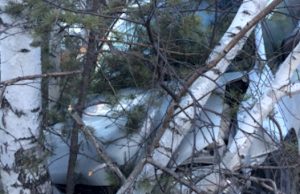 В Чемальском районе Toyota врезалась в дерево, три человека получили травмы