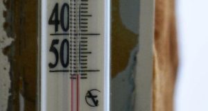 Птицы на лету гибнут: в Верхнем Уймоне стоят 50-градусные морозы