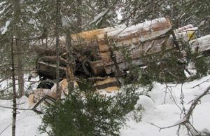 В Турочакском районе в результате ДТП погиб водитель лесовоза