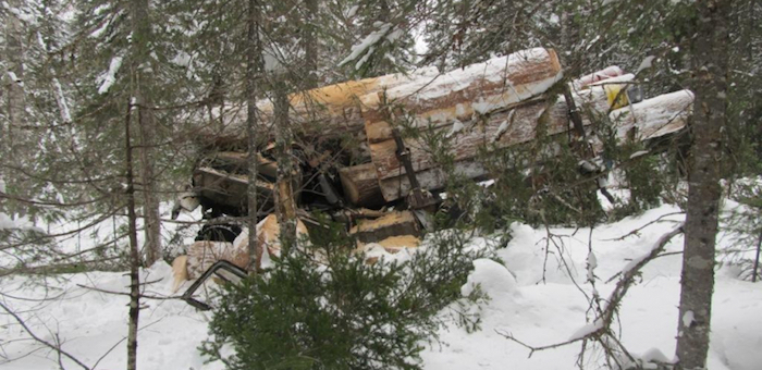 В Турочакском районе в результате ДТП погиб водитель лесовоза