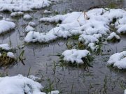 Подтопление домов в Республике Алтай удается предотвращать