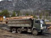 В водоохранной зоне около Манжерока началось строительство «пасеки»