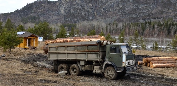 В водоохранной зоне около Манжерока началось строительство «пасеки»
