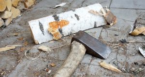 Сельчанка решила воспитать нерадивого мужа поленом