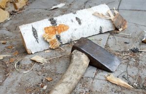 Сельчанка решила воспитать нерадивого мужа поленом