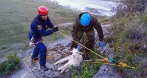 Со скалы около Малого Яломана спасатели сняли пять коз