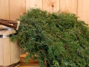 Банные веники из можжевельника оскорбили религиозные чувства коренных жителей