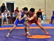 Алтайские спортсмены стали призерами всероссийского турнира по греко-римской борьбе