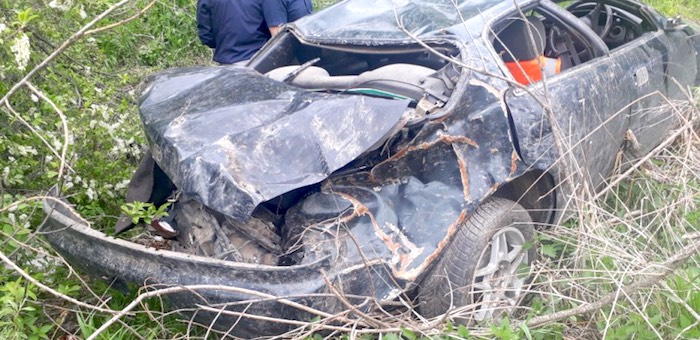 В Шебалинском районе у дороги обнаружена разбившаяся иномарка и погибший водитель