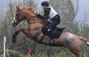 Команда Республики Алтай выиграла золото первенства Сибири по конному спорту