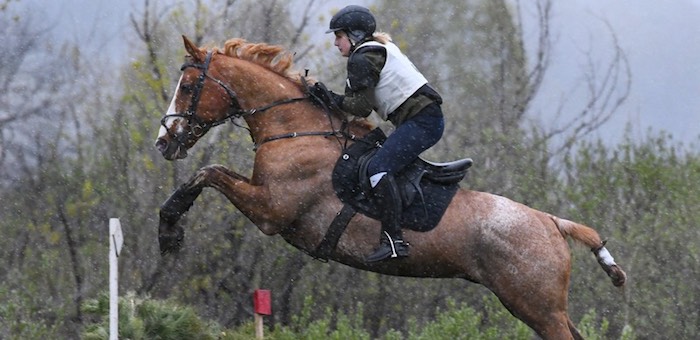 Команда Республики Алтай выиграла золото первенства Сибири по конному спорту