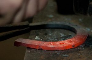 Подковал 900 лошадей