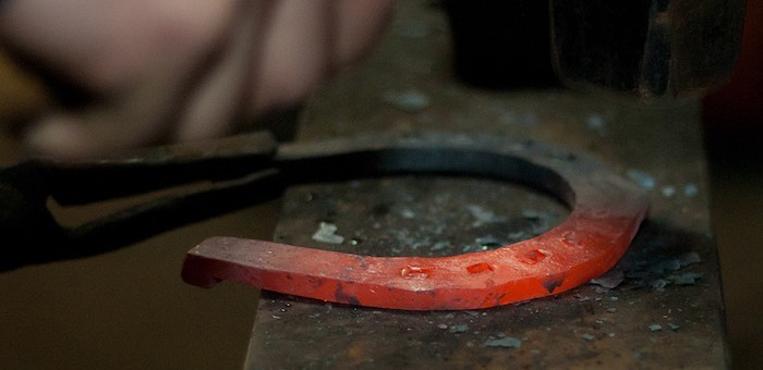 Подковал 900 лошадей