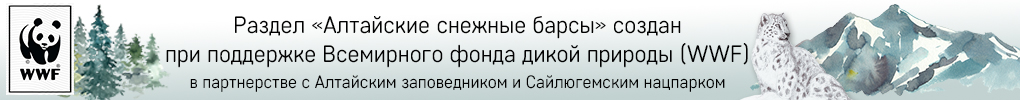 При поддержке WWF