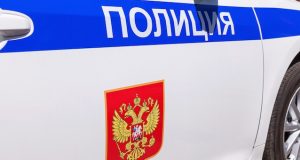 Двух братьев, избивших полицейских в ночном клубе, отправили в колонию