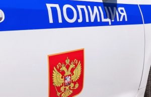 Двух братьев, избивших полицейских в ночном клубе, отправили в колонию