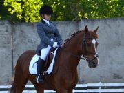 Горно-алтайская спортсменка успешно выступила на соревнованиях по конному спорту в Барнауле