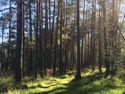 В Турочакском районе создали особо охраняемую природную территорию