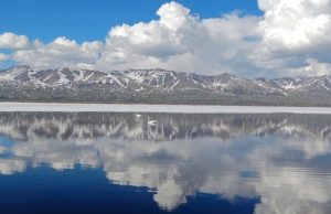 Нерест хариуса на озере Джулукуль впервые за много лет прошел спокойно