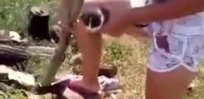 Страна в шоке: видео с убийством котенка на Алтае получило огромный общественный резонанс