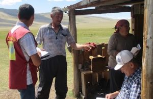 Фактов охоты на сурка не выявлено. В Кош-Агачском районе прошли рейды по стоянкам животноводов