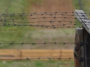 Российские и монгольские пограничники провели операцию «Полоса-2018»