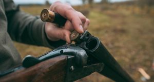 Утверждены лимиты добычи охотничьих ресурсов на территории Республики Алтай