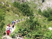 Турпоток в Республику Алтай вырос на 3 процента