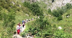 Турпоток в Республику Алтай вырос на 3 процента