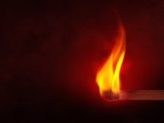 Концептуальный поджог: мужчина выразил протест по поводу строительства базы отдыха на месте пастбища