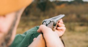 Житель Усть-Коксинского района застрелил лошадей, потравивших его овес