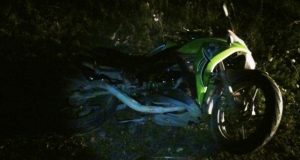 В Элекмонаре мотоцикл налетел на лежащего коня. Водителя и пассажира спасли шлемы