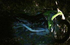 В Элекмонаре мотоцикл налетел на лежащего коня. Водителя и пассажира спасли шлемы