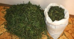 Два мешка марихуаны весом 21 кг изъяли у мужчины в Турочакском районе