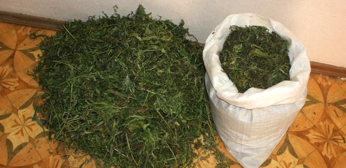 Два мешка марихуаны весом 21 кг изъяли у мужчины в Турочакском районе