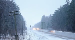 Мокрый снег и заморозки ожидаются на Алтае в ближайшие дни
