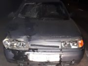 Около Онгудая ВАЗ насмерть сбил велосипедиста
