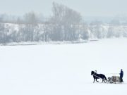 Республика Алтай: глобального потепления не замечено