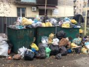 Бердников пригрозил виновным в проблемах с вывозом мусора карами и оргвыводами