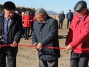 В Теньге открыта откормочная площадка на 1,5 тыс. голов КРС
