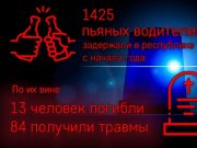 По вине пьяных водителей с начала года погибли 13 человек