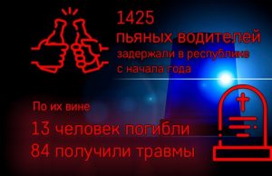 По вине пьяных водителей с начала года погибли 13 человек