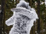 Туристы считают, что в Горном Алтае можно повстречать йети
