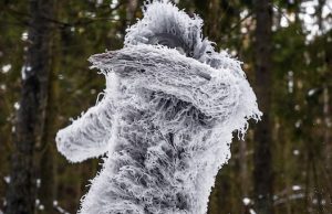 Туристы считают, что в Горном Алтае можно повстречать йети