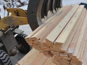 В Горном Алтае разрабатывают концепцию развития лесной отрасли
